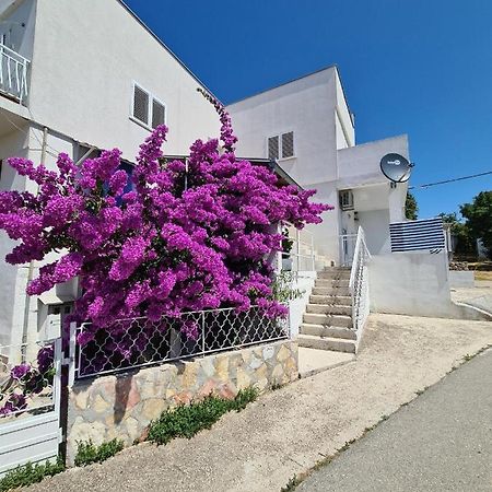 Maslenica-Bougainvillea Kültér fotó