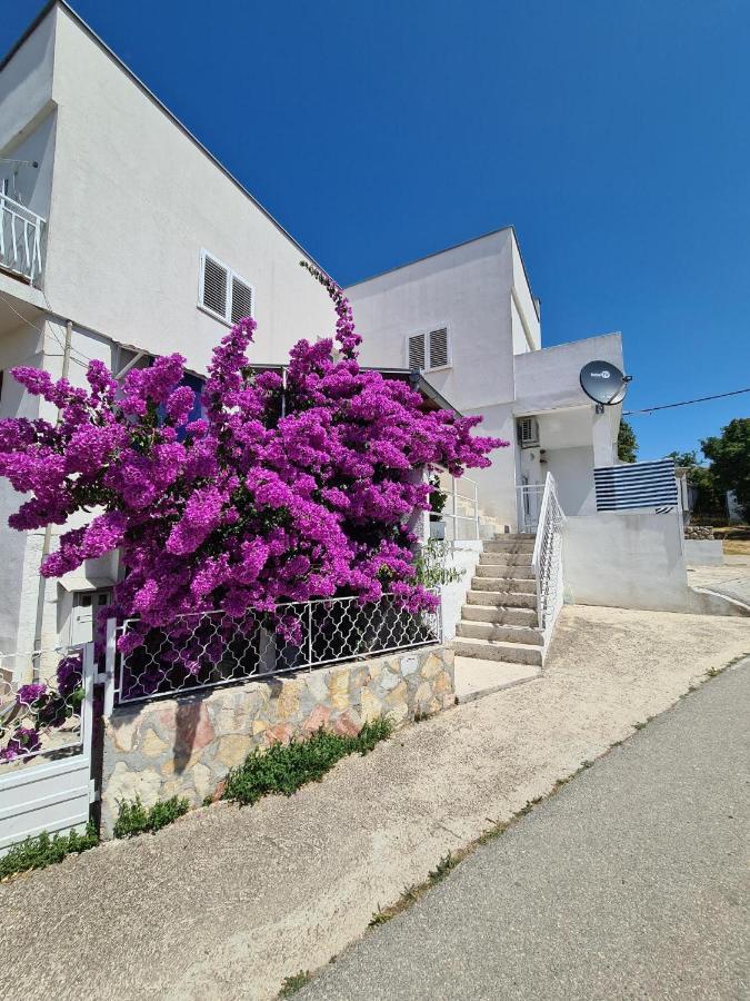 Maslenica-Bougainvillea Kültér fotó
