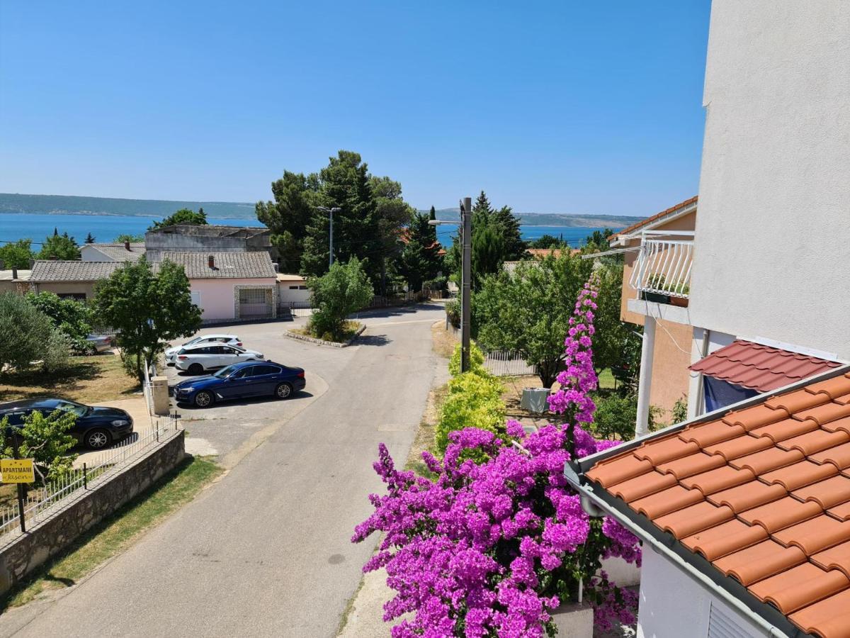 Maslenica-Bougainvillea Kültér fotó